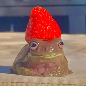 Meet your Posher, Ailey